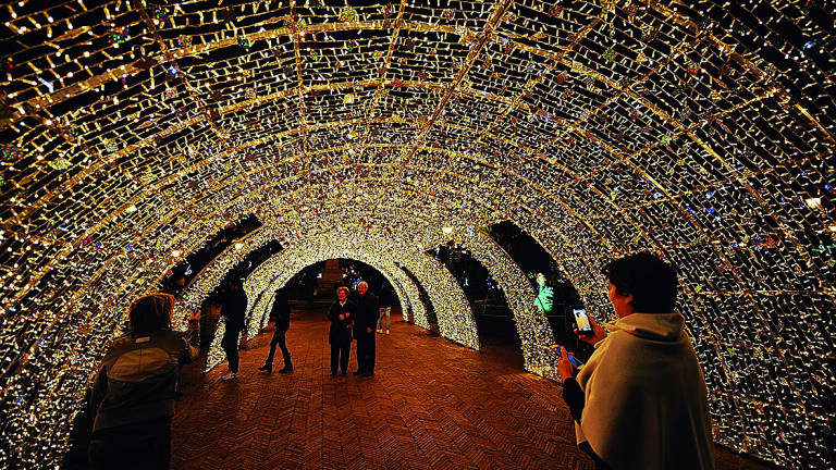 Il Natale di Milano Marittima è Wonderland. Ma ora si paga l'ingresso