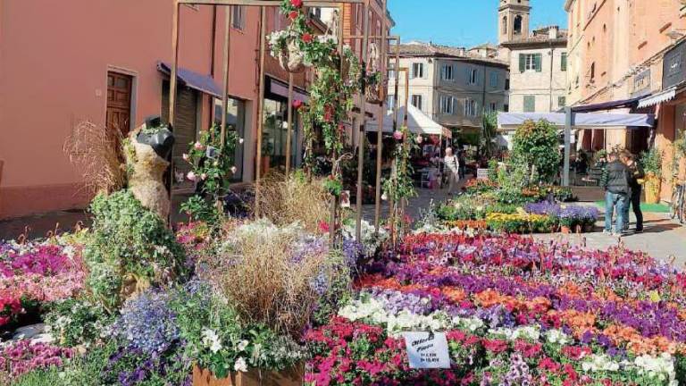 Santarcangelo si colora con Balconi fioriti: oltre 120 gli espositori