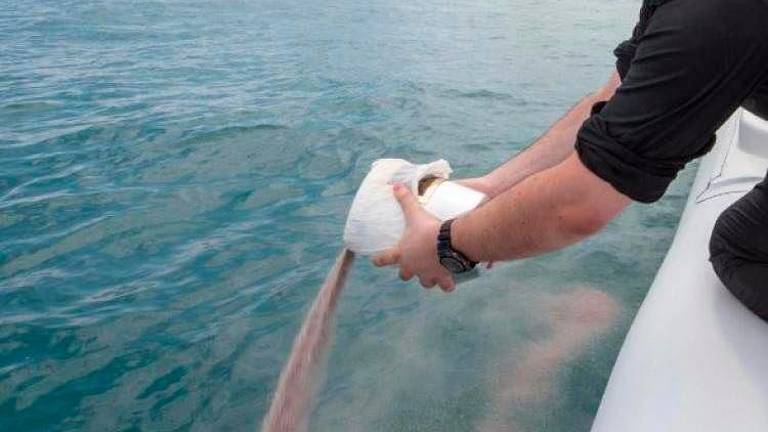 A Rimini impennata di cremazioni: “Ceneri in mare, centinaia ogni anno”