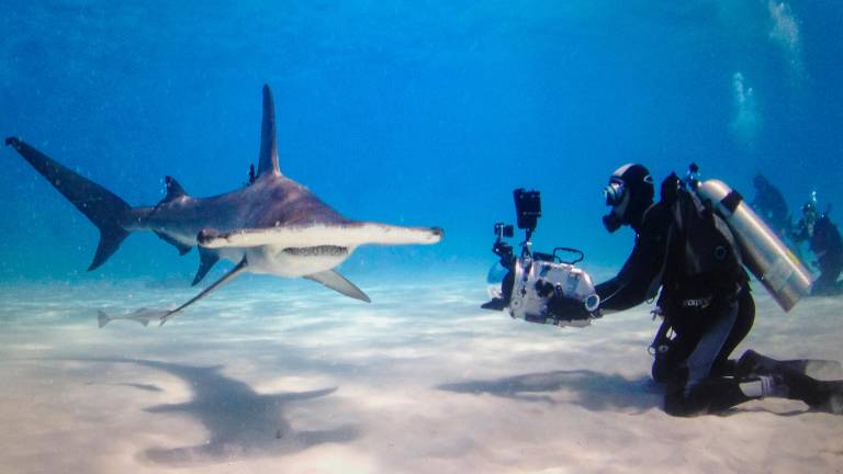 Il regista riminese del mondo sommerso vince l’ennesimo premio internazionale GALLERY