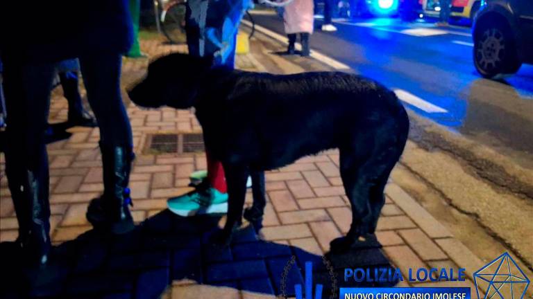 Imola, si chiamava Gianluca Villa il 46enne investito ieri sera sulla Montanara