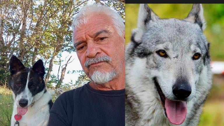 Montevecchi con la sua cagnolina. I lupi sono poi scappati lasciando l’animale privo di vita nel recinto