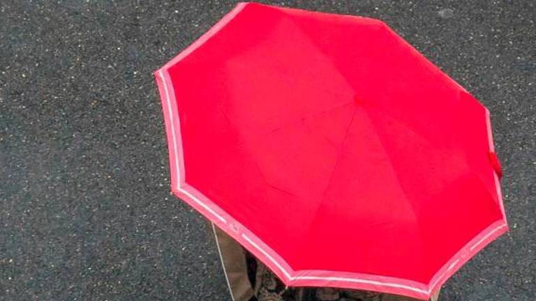 Indagini affidate ai carabinieri