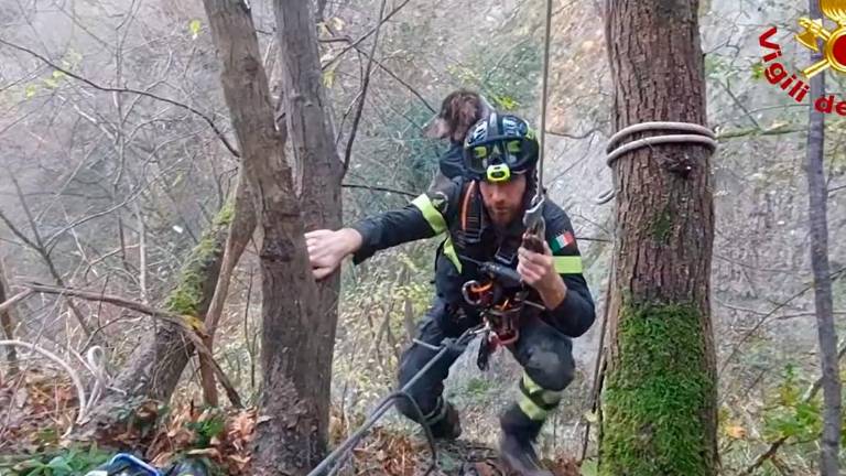 Monte Fregnano, cane bloccato da 3 giorni recuperato dai vigili del fuoco VIDEO
