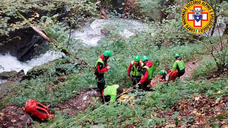 Bagno di Romagna, cade nel bosco e si frattura una gamba: donna ...