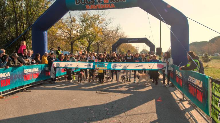 Ravenna. Dogs &amp; Run, la “corsa a 6 zampe”. FOTOGALLERY