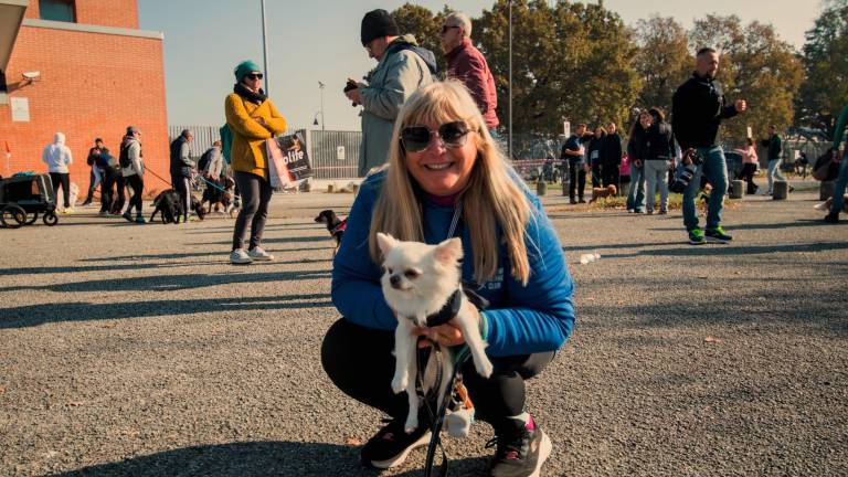 Ravenna. Dogs &amp; Run, la “corsa a 6 zampe”. FOTOGALLERY