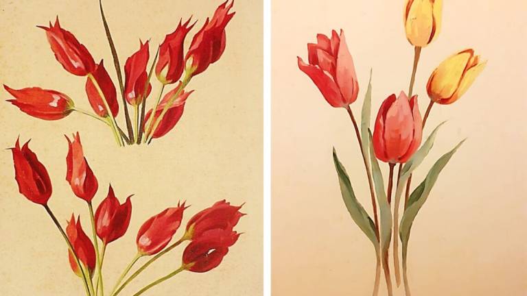 I tulipani olandesi nella pittura degli artisti romagnoli