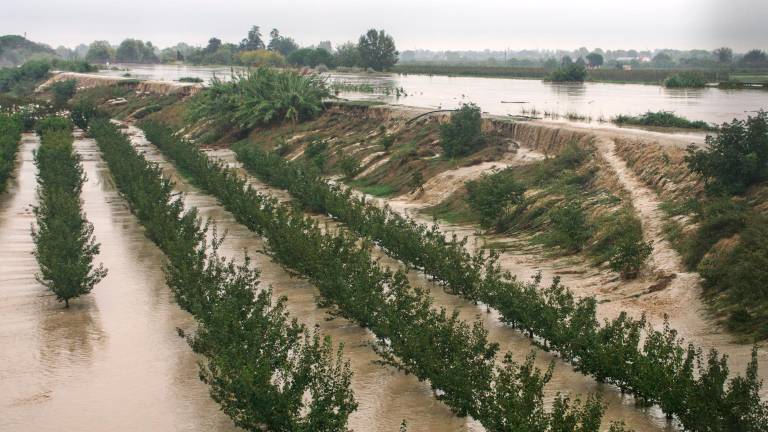 Ravenna, alluvione: la Regione copre le spese legali dei tecnici indagati