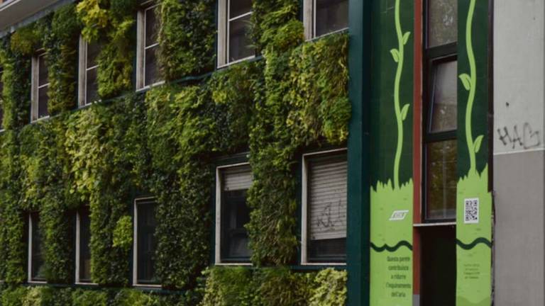 La nuova frontiera del green verticale e delle pareti vegetali