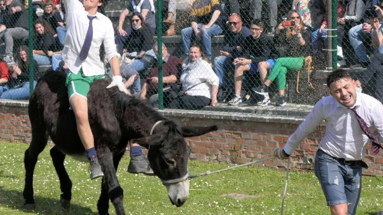 Fontanelice, riecco la corsa dei somari VIDEO