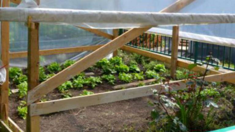Un nuovo sistema permette di fare l’orto in casa risparmiando