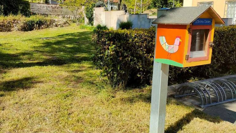 Ravenna, svuotano la casetta dei libri e c'è chi prova a rivenderli