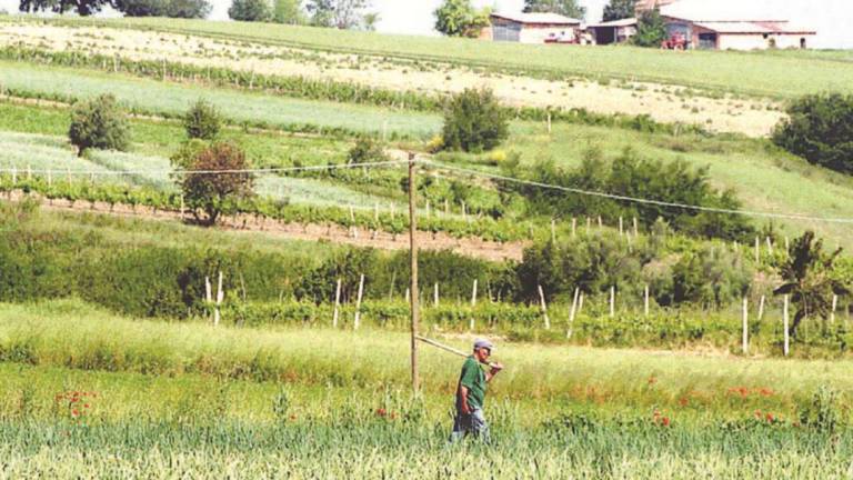 Imola, 200mila euro per le nuove imprese extra-agricole rurali