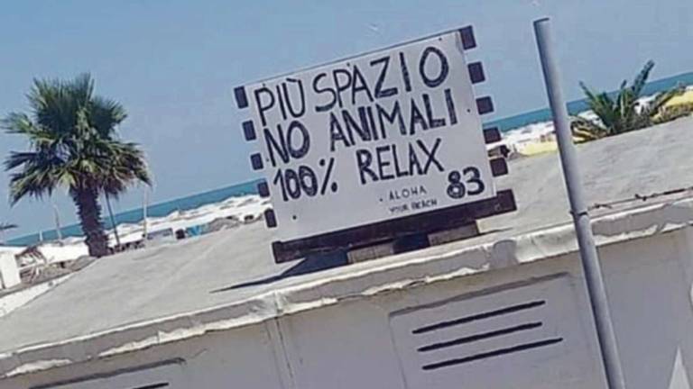 Rimini. Il bagnino: Ecco la mia spiaggia senza cani
