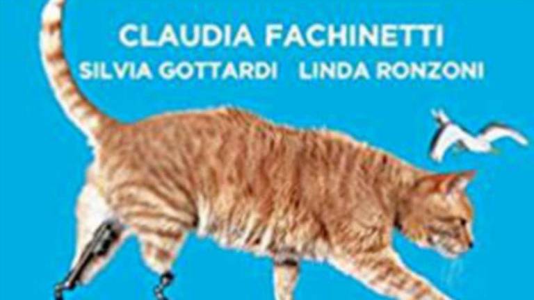 Libri per ragazzi: il gatto Vito di Claudia Fachinetti