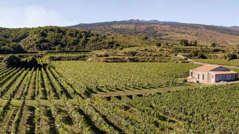 Vino, Giovanni Rosso la magia del Barolo e l'esuberanza dell'Etna