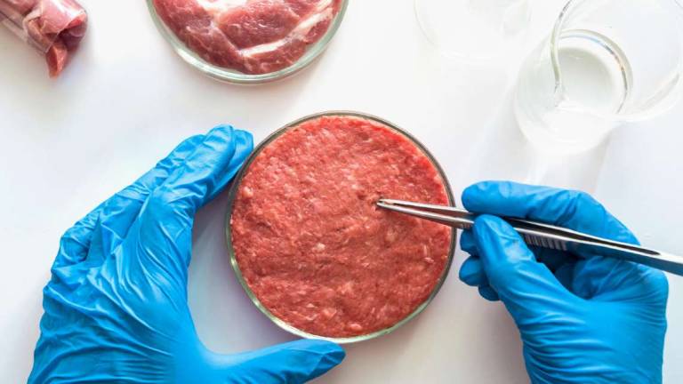 Carne Frankenstein sfruttando i feti delle mucche: verità e menzogne sulle bistecche sintetiche