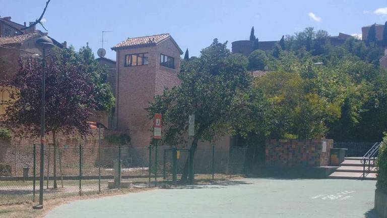 Cesena, topi a Serravale: per il Comune la causa è un'area privata