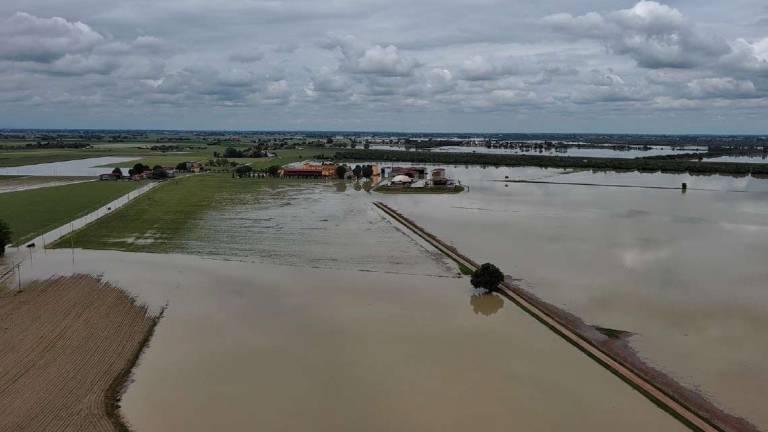 Medicina, nella Tenuta Vallona distrutti oltre 800 ettari di campi