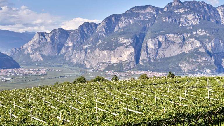 La scelta di Gardini: Cesarini Sforza Trentodoc