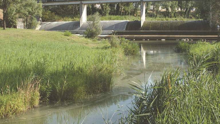 Ravenna, siccità primaverile: manca il 10% delle precipitazioni