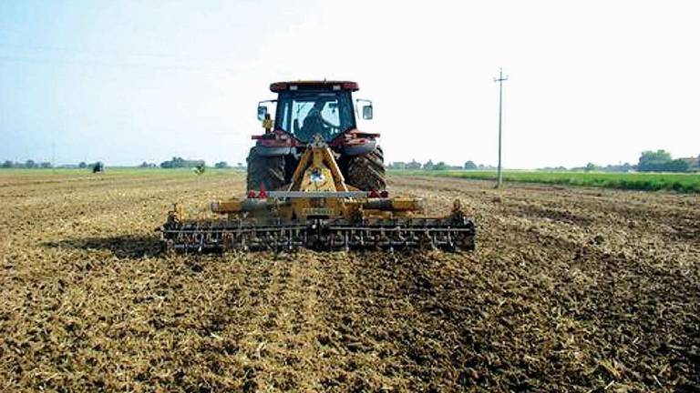 L’accesso alla terra per giovani agricoltori diventi una priorità