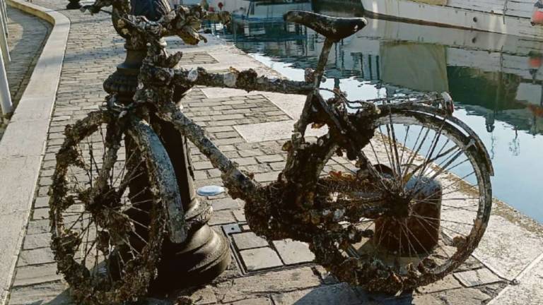 Cesenatico, bici ripescata dopo anni dal porto canale