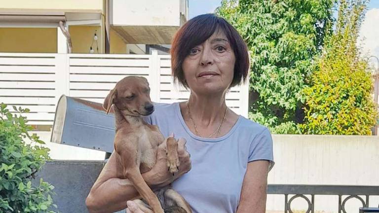 Lugo, la denuncia di Milena: «Il mio cane fu avvelenato»
