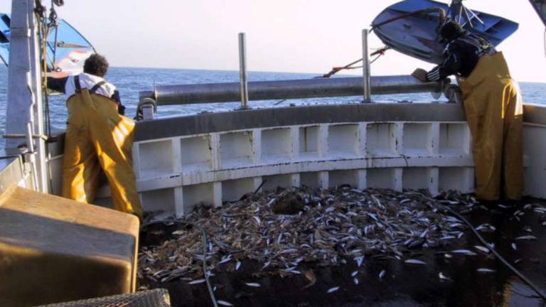 Rimini, pescherecci in rivolta contro il taglio della pesca a strascico