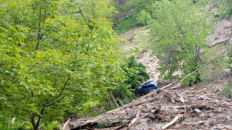 Castel del Rio, anche i castagneti secolari travolti dalle frane