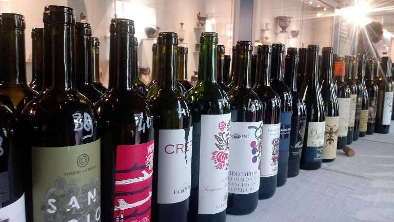 Vini ad arte le nuove annate da ora in cantina e nelle guide