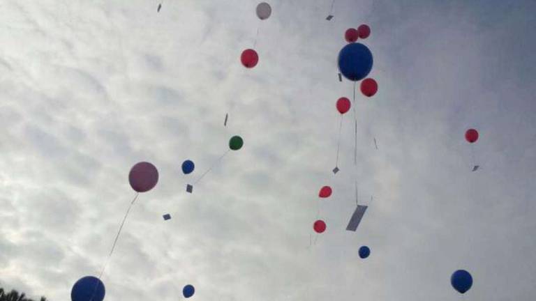 Guerra al lancio dei palloncini: inquinano e uccidono gli animali