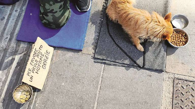 Rimini. Picchia il suo cane, denunciato senzatetto