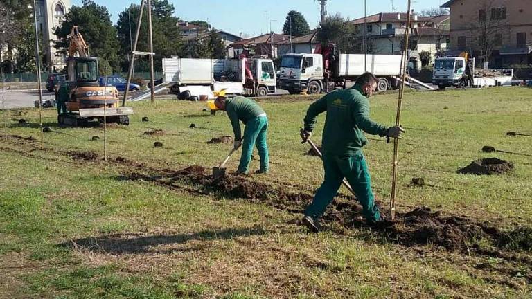 La Romagna diventa più verde: primo passo con 130mila piante