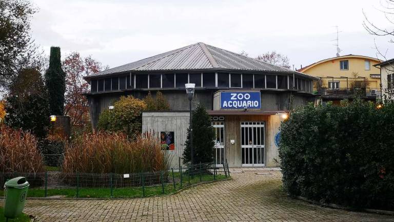 Imola, Zoo Acquario nuova casa dei corsi post diploma