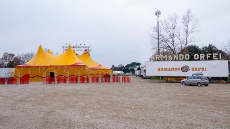 A Imola spettacoli senza animali, ma espongono le tigri