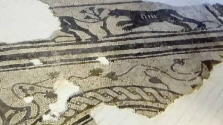 Cesena, tuffo nell'età romana tra mosaici, lucerna e ceramiche