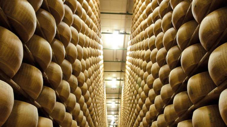 Parmigiano Reggiano record, 2,7 miliardi di giro d'affari