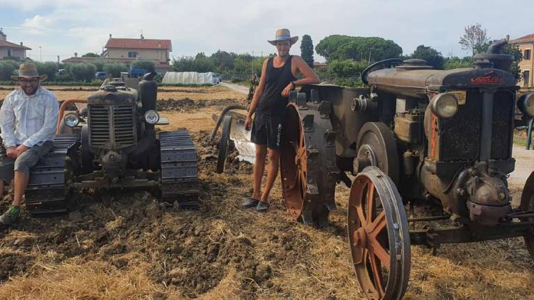 Savignano, Aratura come una volta: domenica la prima edizione