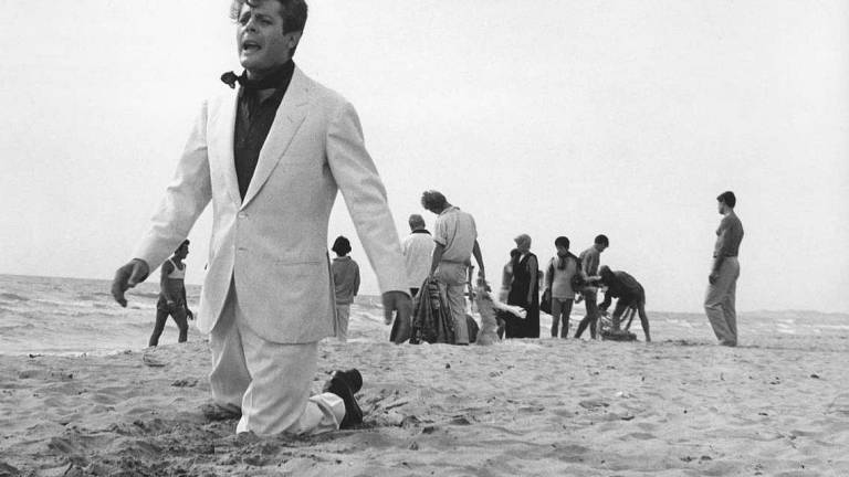 Il mare di Federico, Fellini secondo Zanetti