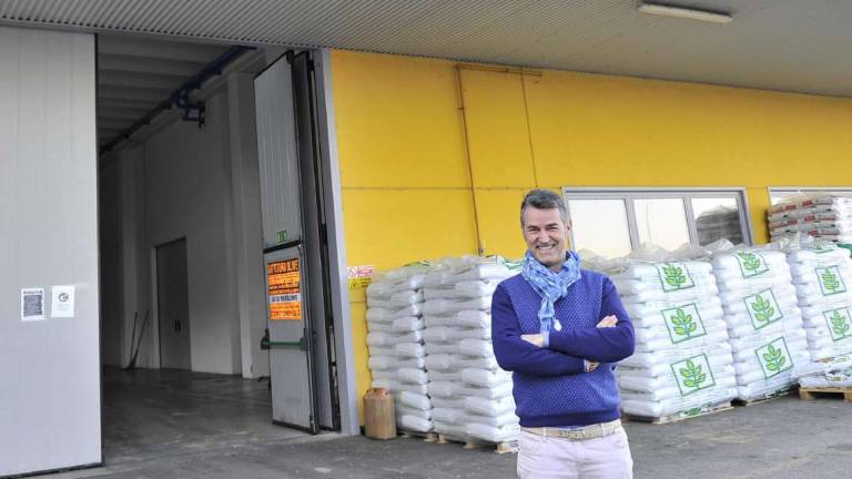 Cesena, olive: raccolto dimezzato da meteo pazzo e parassiti