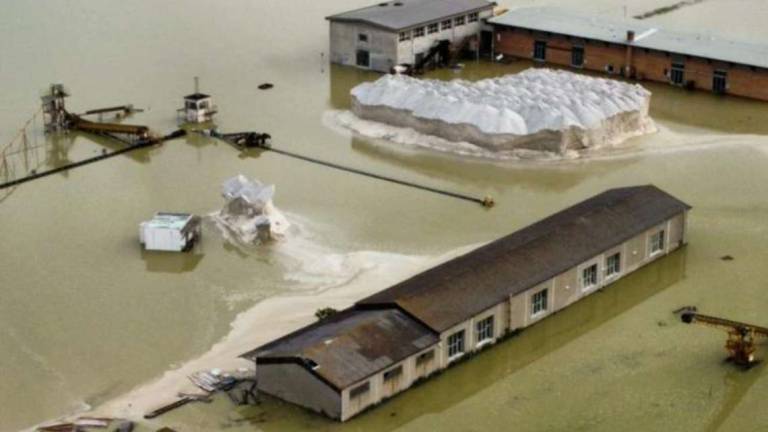 Cervia, addio sale: Nei bacini ora ci sono rane e carpe