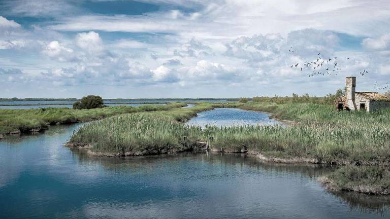 Il fascino del delta del Po veneto