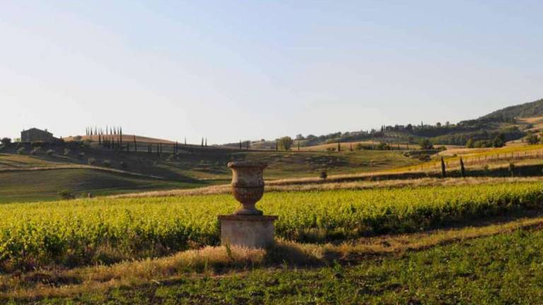 Tenuta di Trinoro, l'anticonformista dei rossi toscani