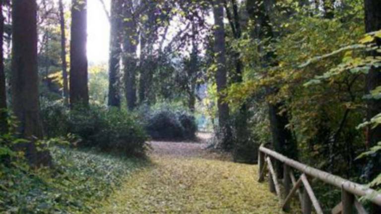 Imola, Legambiente su bosco autodromo: Primo passo, ma non basta