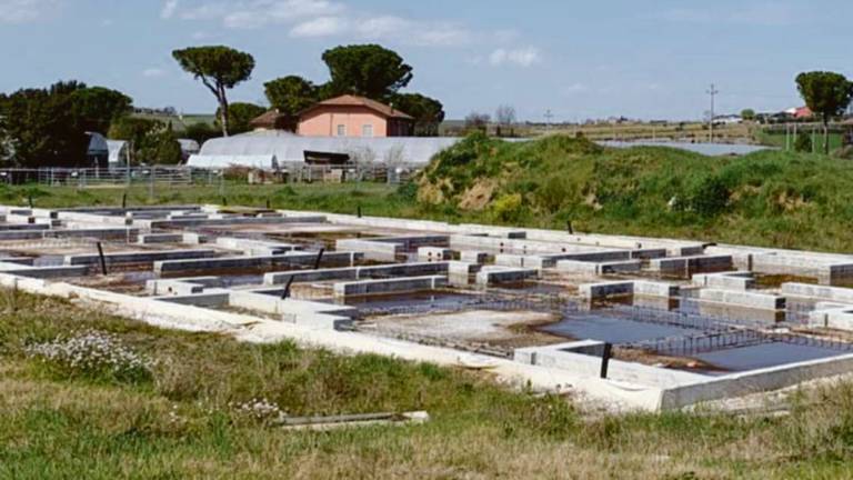 Scuola di Canonica, odissea senza fine