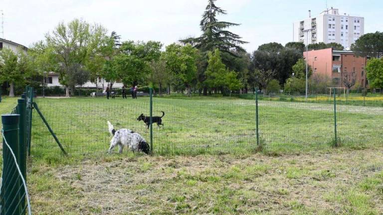 Imola, per l'area di sgambamento di Zolino in arrivo un regolamento