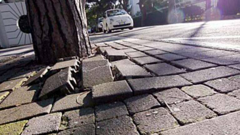 Cade in buca passeggiando, Comune di Lugo condannato