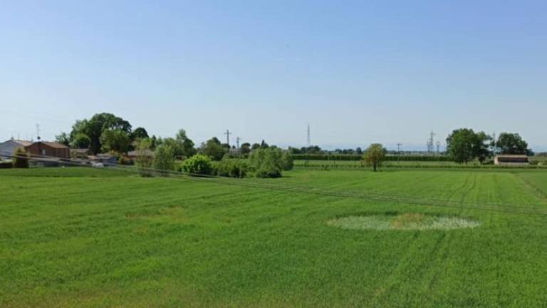 Ravenna, cerchio nel grano compare nei campi a Santerno